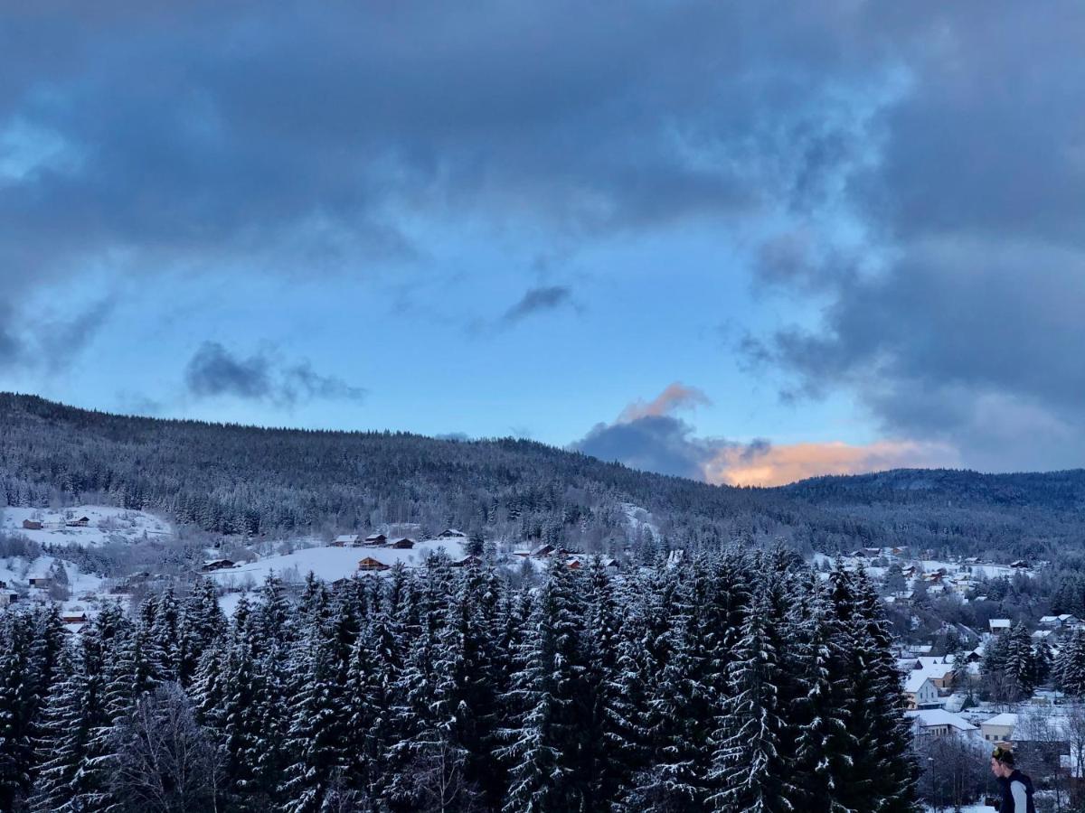 Le Bois Des Neiges Charmant Chalet Authentique A 5 Mn De Gerardmer Xonrupt-Longemer Ngoại thất bức ảnh