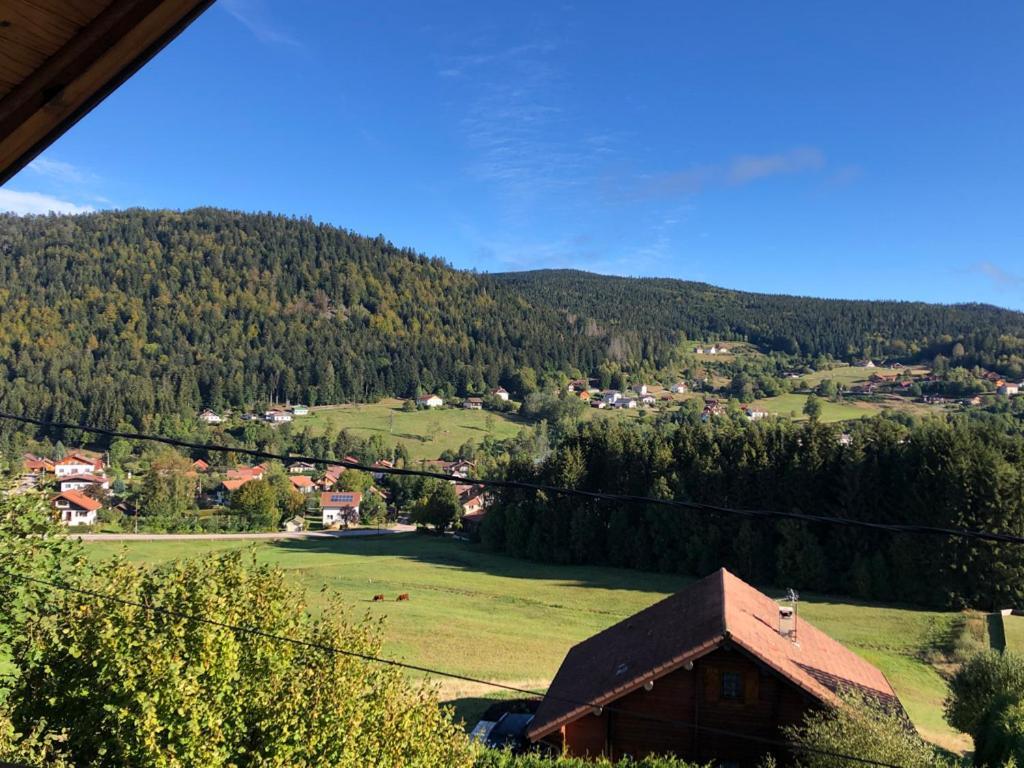 Le Bois Des Neiges Charmant Chalet Authentique A 5 Mn De Gerardmer Xonrupt-Longemer Ngoại thất bức ảnh
