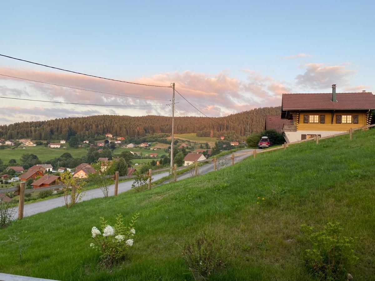 Le Bois Des Neiges Charmant Chalet Authentique A 5 Mn De Gerardmer Xonrupt-Longemer Ngoại thất bức ảnh