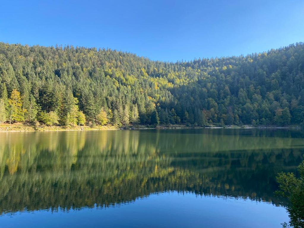 Le Bois Des Neiges Charmant Chalet Authentique A 5 Mn De Gerardmer Xonrupt-Longemer Ngoại thất bức ảnh